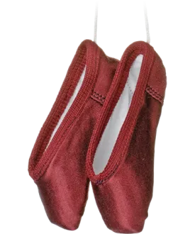 Grishko Mini-Pointe shoes