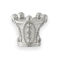 Princess Charm
